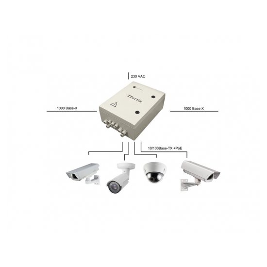 Уличный коммутатор TFortis PSW-2G4F-Box