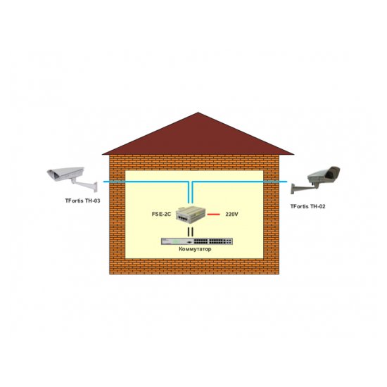 Инжектор 2-портовый TFortis FSE-2C
