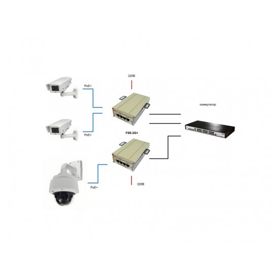 Инжектор 2-портовый TFortis FSE-2G+