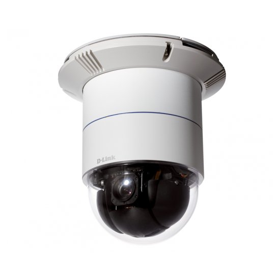 Интернет-камера D-Link DCS-6616/A1A