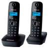 DECT-телефон Panasonic KX-TG1612RUH