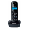 DECT-телефон Panasonic KX-TG1611RUH